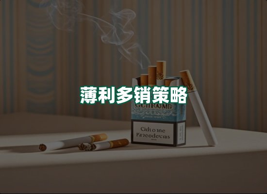 核心优势